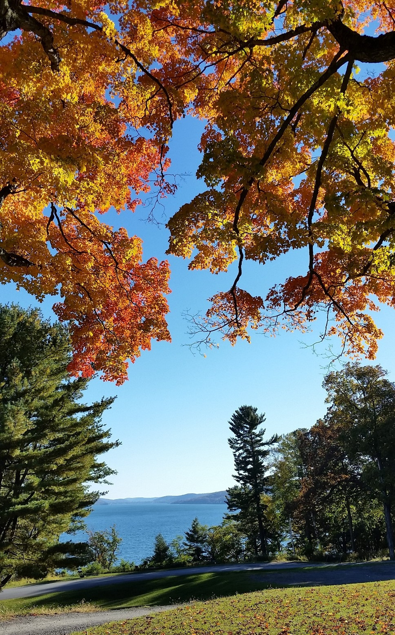 Illustration for article titled 48 Photos Of Autumn Around The World